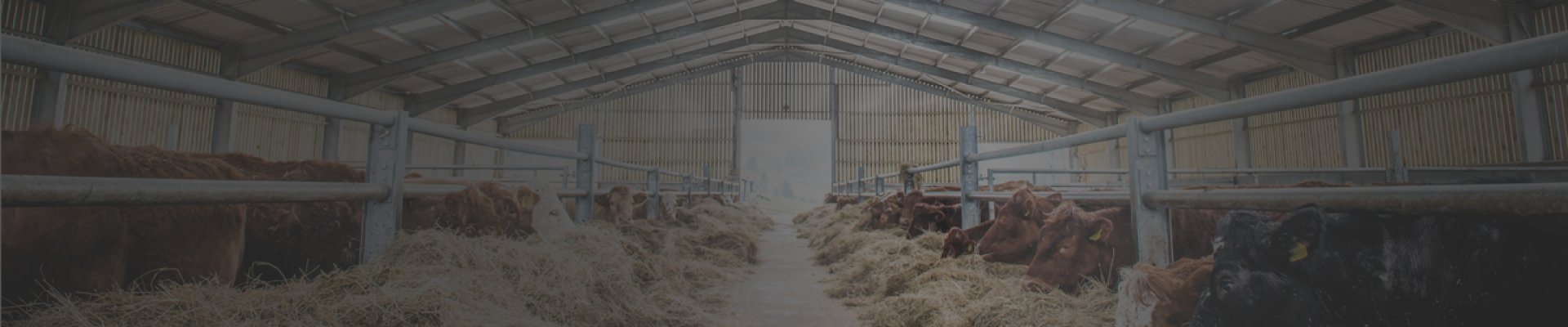 Agricultural Lighting