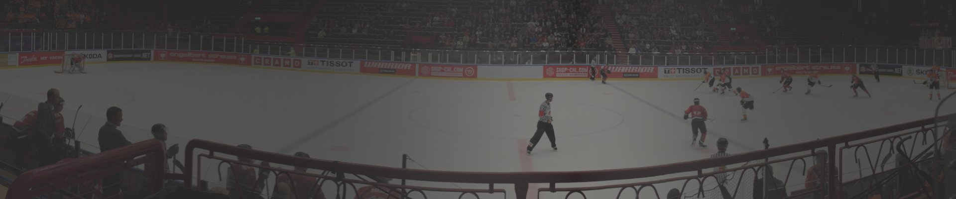 Lighting for the Ice Hockey