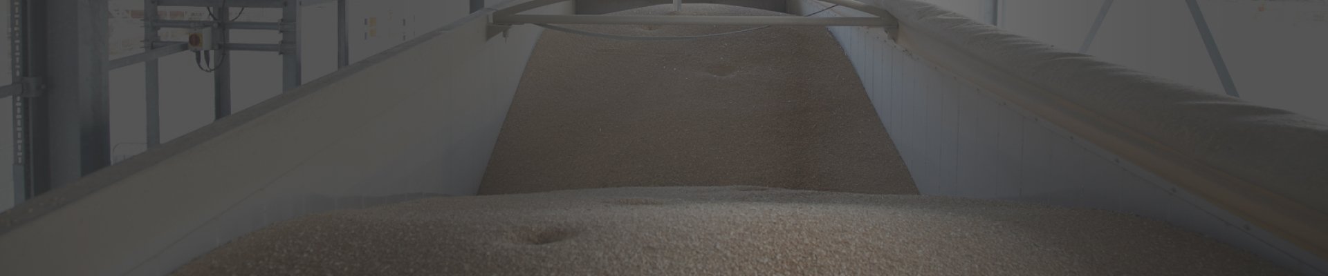 Lights for Grain Processing and Storage