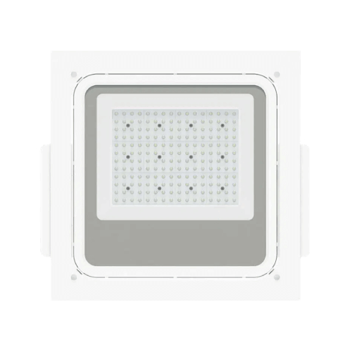 Armitage Canopy Lights