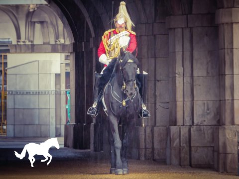 Combermere Barracks Cavalry Riding Ground