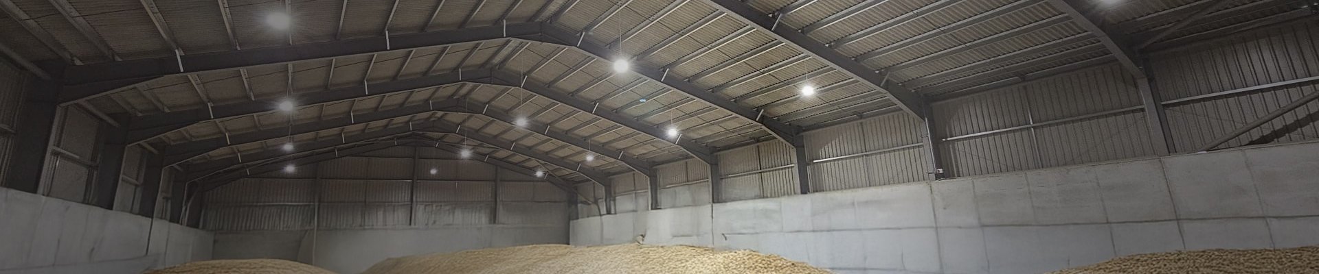 Grain Store Hazardous Area Light