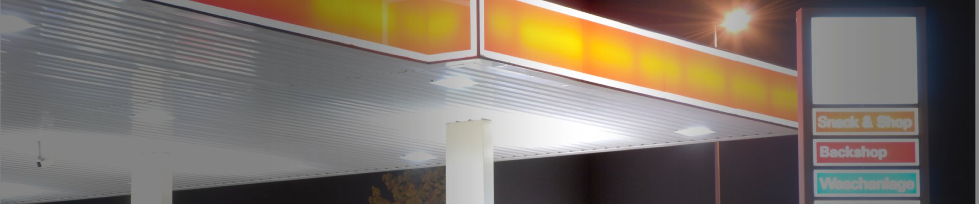 Canopy Lights