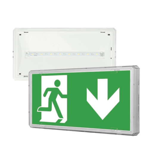 Erskine Emergency Bulkhead Light