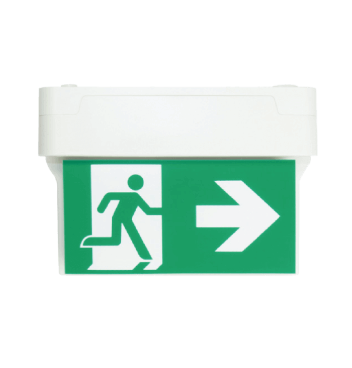 Ewing 2-Sided Emergency Exit Light Designed for Purpose 